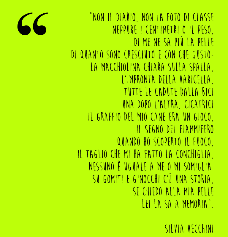 citazione Silvia Vecchini